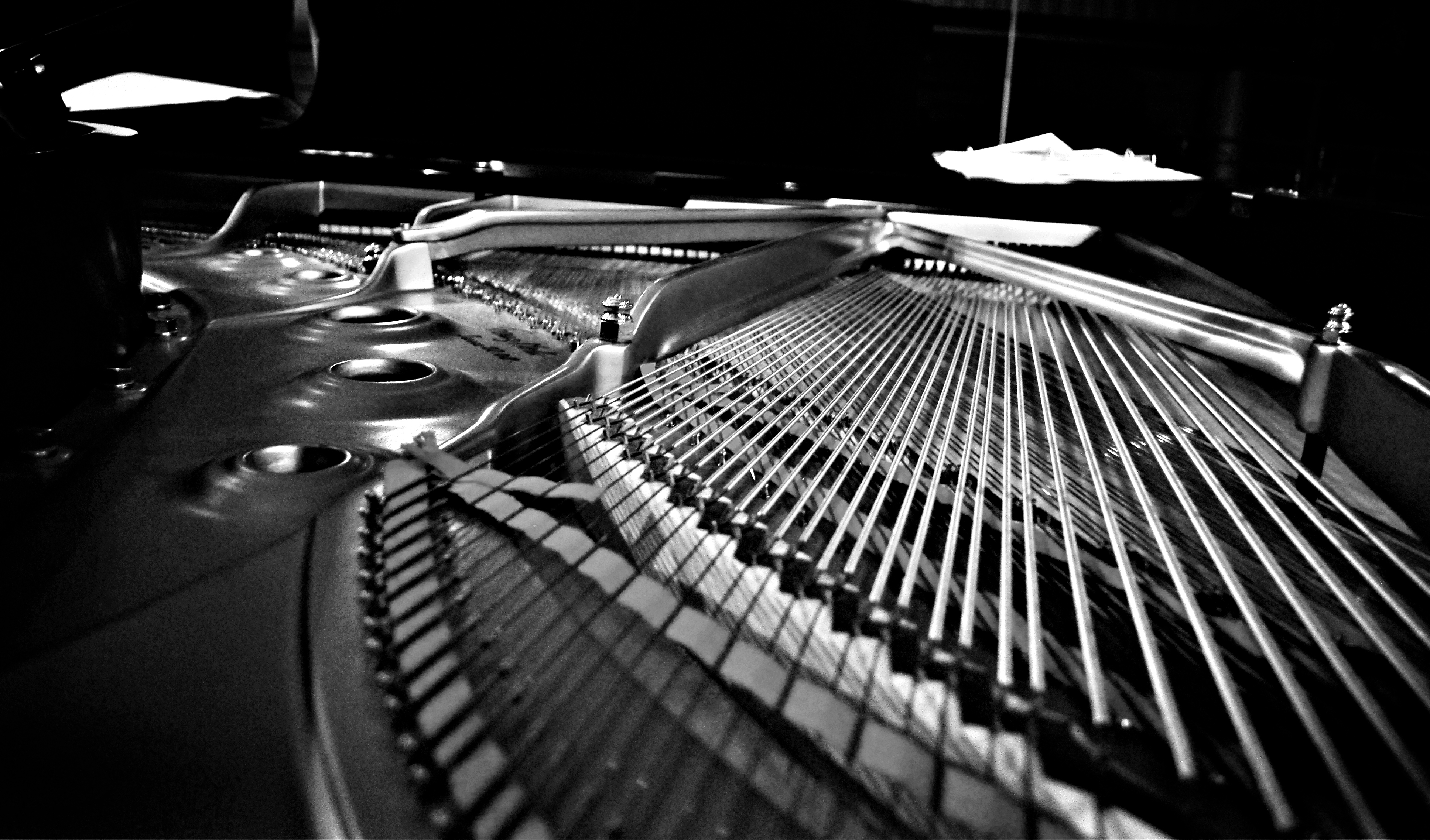 playing the piano an impact on Developing skills on the organ will give a pianist a new perspective on playing keyboard instruments therefore, it will indirectly influence their piano skills as well evola music can help you find the perfect piano or organ for you or your family. playing the piano an impact on Developing skills on the organ will give a pianist a new perspective on playing keyboard instruments therefore, it will indirectly influence their piano skills as well evola music can help you find the perfect piano or organ for you or your family.